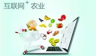 农村电商十大发展趋势 拥抱变革，赋能乡村经济